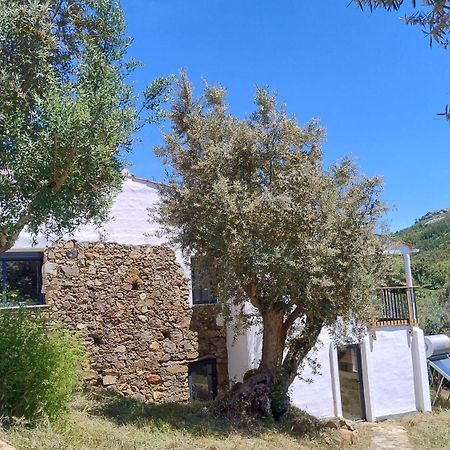 Envendos Alegria Rustica 2 Rustic Happiness B&B 외부 사진