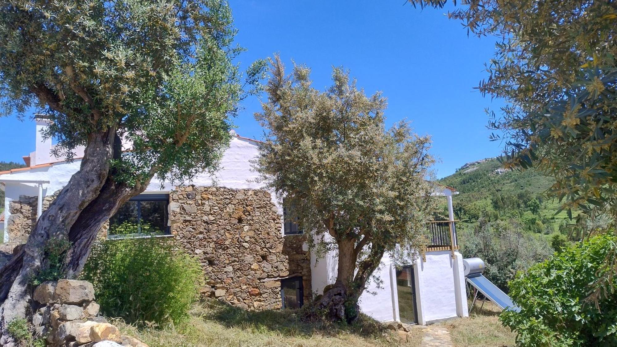 Envendos Alegria Rustica 2 Rustic Happiness B&B 외부 사진